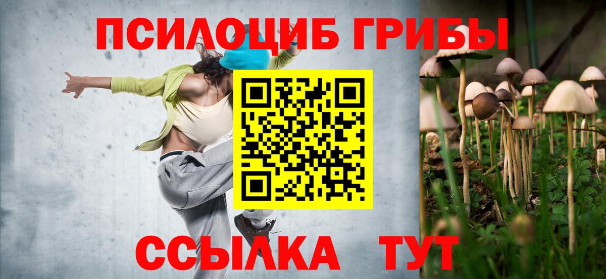 Галлюциногенные грибы прущие грибы Берёзовский