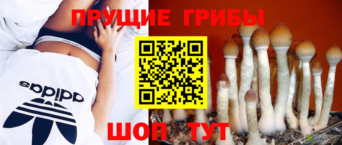 Галлюциногенные грибы Cubensis  Псилоцибиновые грибы Psilocybine cubensis  Вход с VPN  Берёзовский 