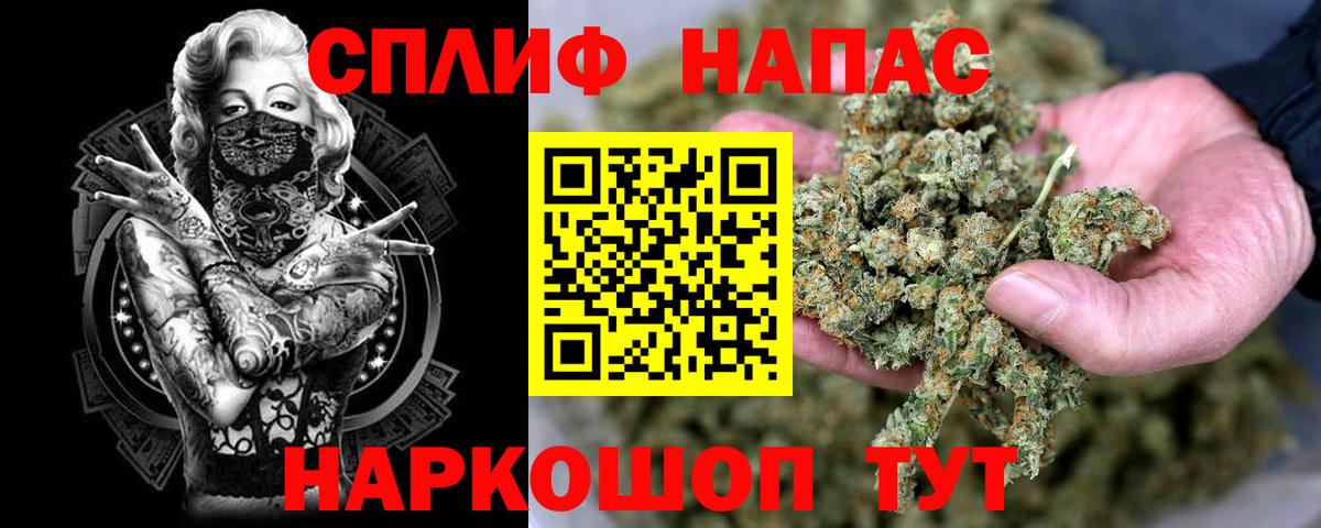 Марихуана сатива Берёзовский